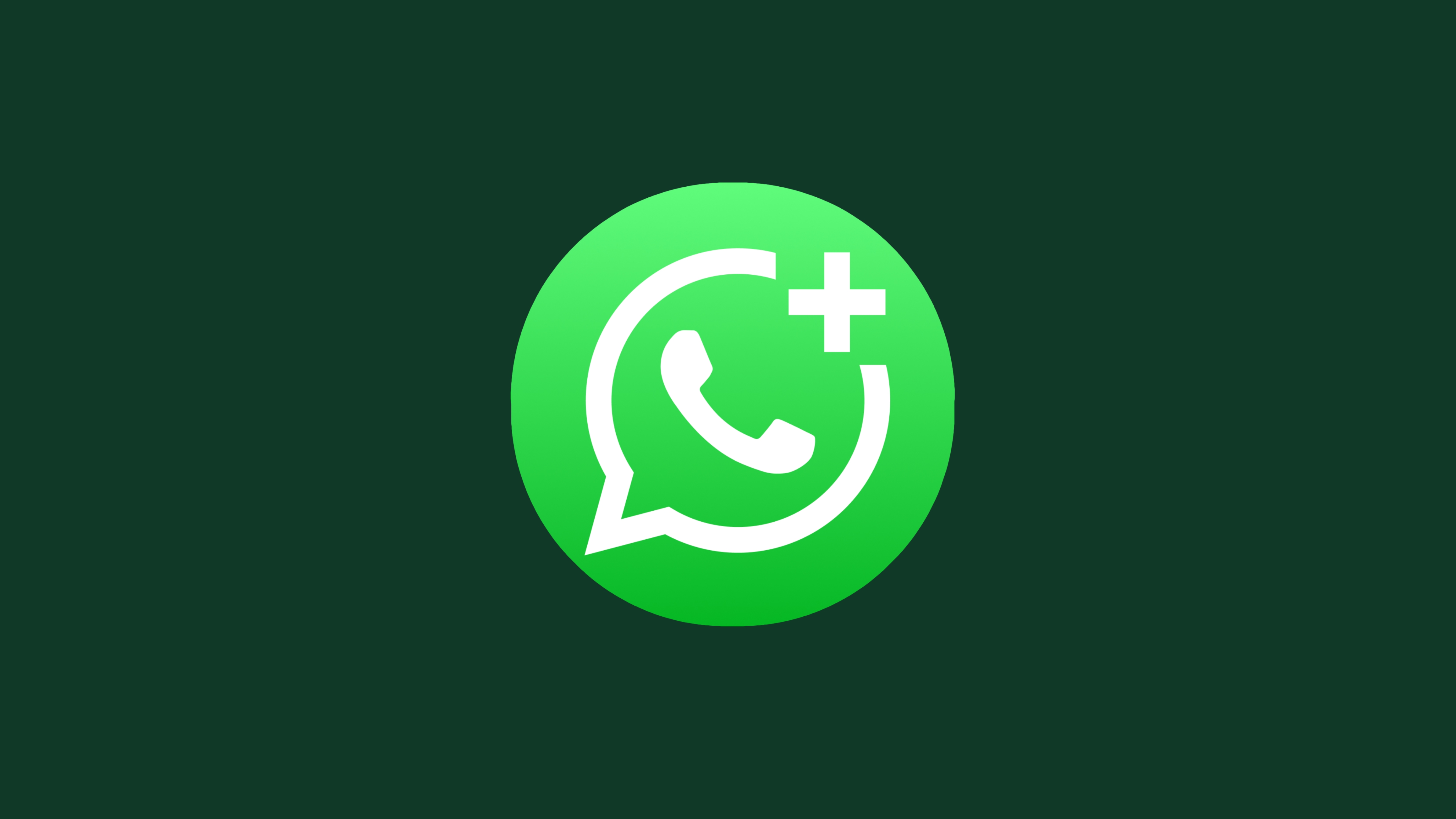 WhatsApp official rules explained: How to correctly use group messaging apps
